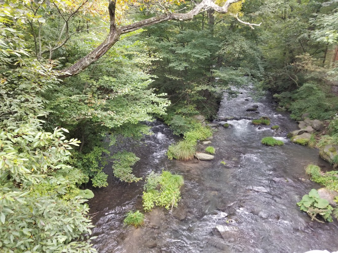 20180920_063236.jpg
